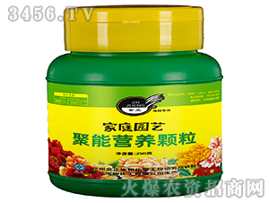 聚能營養(yǎng)顆粒-金正生物