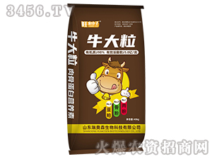 肉骨蛋白營養液-牛大粒-瑞奧森