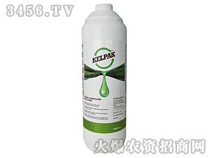 Kelpak-ϷԭbMں1L-rI