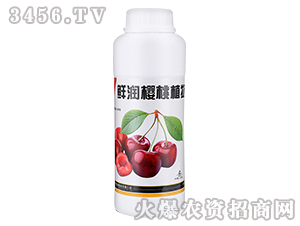 櫻桃專用營養液-鮮潤-農悅生物