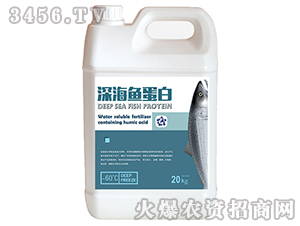 5kg深海魚蛋白-海之星 