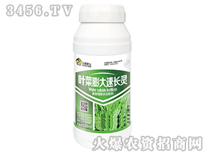 ~L`500ml-SAʘI