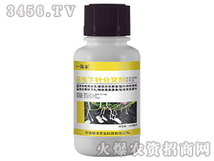 花生下針分叉劑-一陣豐-聯沃農業