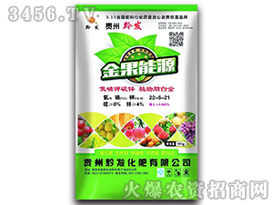 金果能源22-6-21-黔發