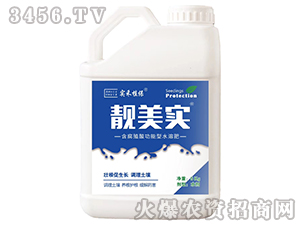 含腐殖酸功能型水溶肥-靚美實-實禾植保