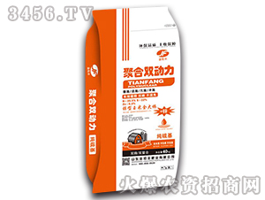聚合雙動力-金炬豐