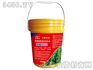海藻精魚蛋白營養液（大姜專用）-立根利果-盛澤坤