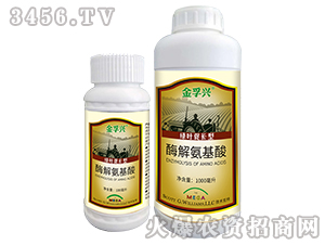 酶解氨基酸-金孚興-孚豐肥業