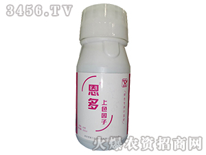 轉色專用肥-恩多·上色因子-想象力
