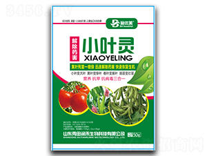 小葉靈-秀田潤禾