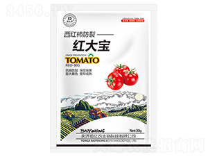 西紅柿防裂紅大寶-佰億農生物