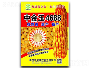 中金玉4688-玉米種子-金海農創(chuàng)