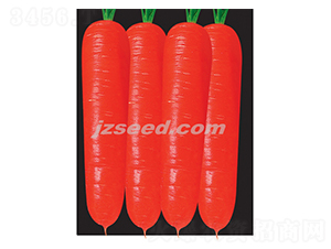 t809S-}N-FNI