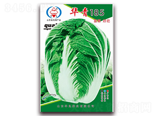 華青185-大白菜種子-華良種業