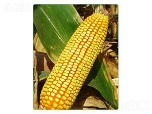 M753-׷N-ANI