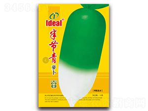 빝}-}N-rI