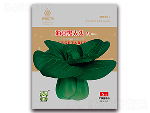 油亮黑大頭-青梗菜種子-理想農業