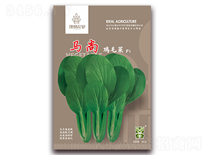 馬尚雞毛菜-青梗菜種子-理想農業