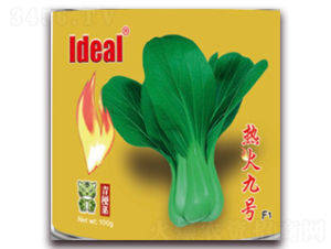 熱火九號-青梗菜種子-理想農業