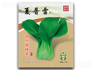 夏普雷（耐熱青梗菜）-青梗菜種子-理想農業
