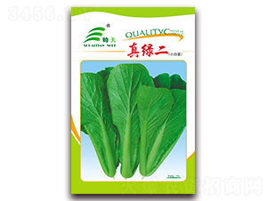 真綠二-白菜種子-帥天