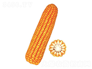 F38̖-׷N-FзNI