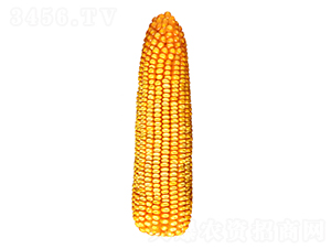 F26̖-׷N-FзNI
