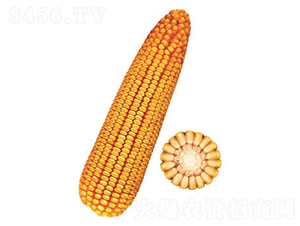 F25̖-׷N-FзNI