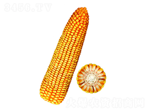 F20̖-׷N-FзNI