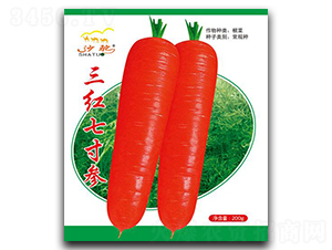 tߴ煢-}N-