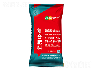 黃腐酸鉀復合肥料19-19-19-粒威紫牛-德源肥業