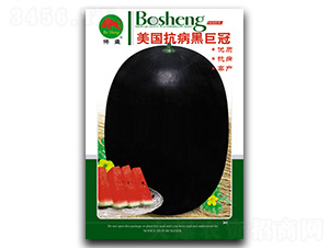 美國抗病黑巨冠-西瓜種子-搏盛種業