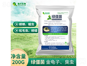 微生物殺蟲劑-綠僵菌-強興生物