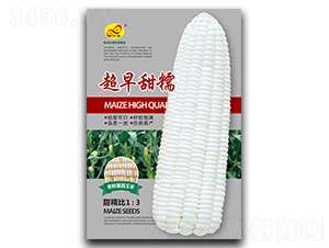 超早甜糯-糯玉米種子-昊晟種業(yè)