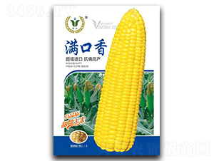滿口香-糯玉米種子-昊晟種業