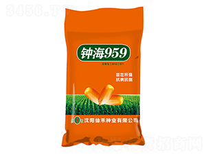 犺959ȴ-׷N-ɺ̷NI