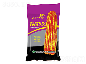 犺959ϴ-׷N-ɺ̷NI