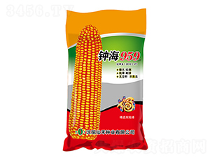 犺959t-׷N-ɺ̷NI