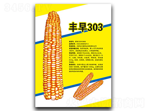 S303-׷N-SNI
