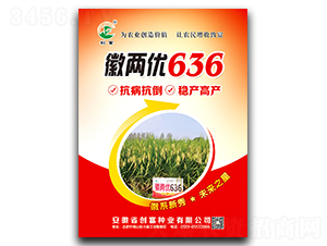 徽兩優636-水稻種子-創富種業