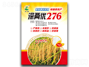 深兩優276-水稻種子-創富種業