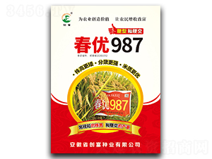 春優987-水稻種子-創富種業