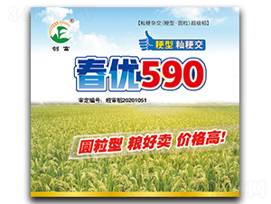 春優590-水稻種子-創富種業