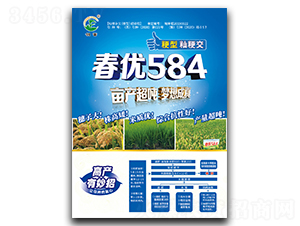 春優584-水稻種子-創富種業