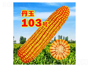 103̖-׷N-NI