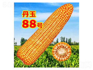 88̖-׷N-NI