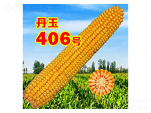 406̖-׷N-NI