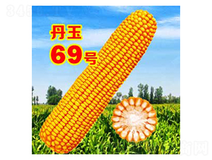 69̖-׷N-NI