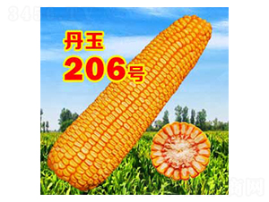 206̖-׷N-NI