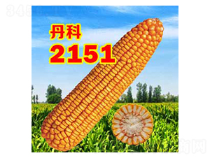 2151-׷N-NI